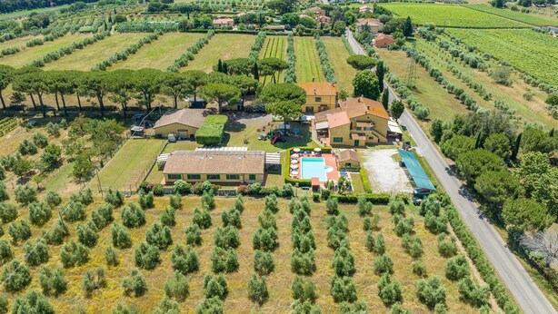 An aerial view of a rural property with a large house, a swimming pool, and vineyard fields. - Farmhouse "Il Pino - Tiglio" with Shared Pool, Private Terrace & Wi-Fi (Cecina)