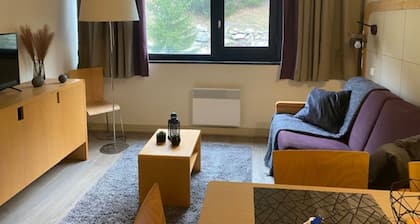 P2 Cabine à 100 m des Pistes !