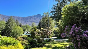 A well-maintained garden with a variety of shrubs and trees, a clear pathway, and a house with a green roof.