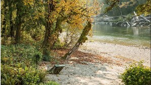 A natural landscape with a river, trees, and a bench.