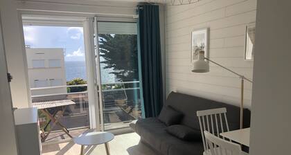 Studio vu mer 100 m de la Plage