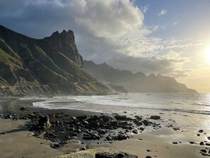 Tumbonas y toallas de playa