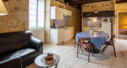 Maison en pierres avec jardin clos, proche grotte de Tourtoirac, équipements bébé, animaux acceptés.