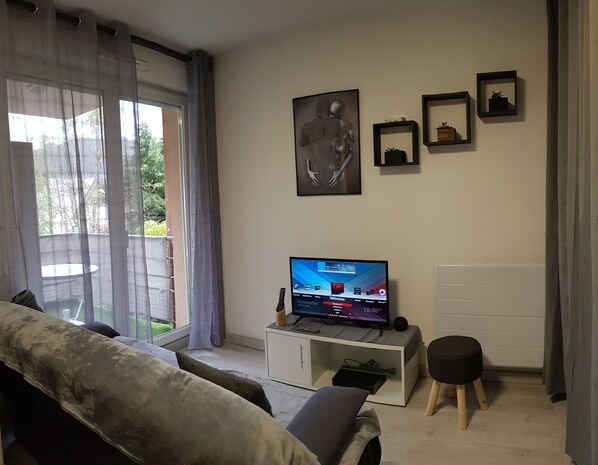 电视、DVD 播放器、乒乓球