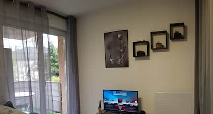 Joli T2 avec parking