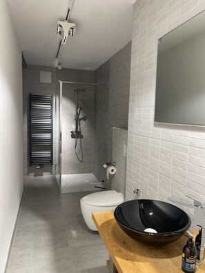 Ducha, secador de pelo, toallas, jabón