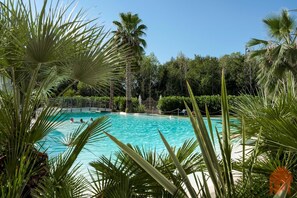 Une piscine d’eau cristalline, entourée d’une végétation luxuriante et de palmiers.