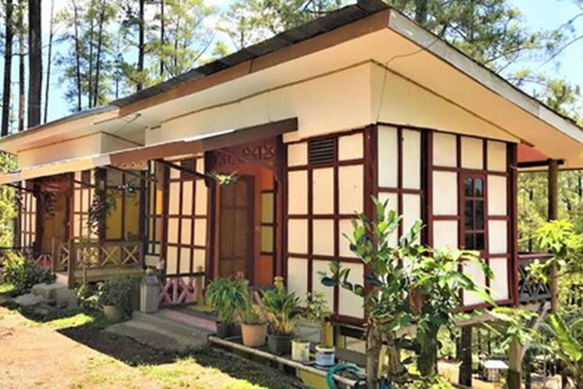 Una casa tradizionale in stile giapponese, con tetto spiovente, rivestimento in legno e un portico coperto con piante in vaso.