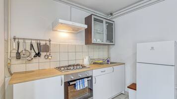 Fridge, oven, stovetop, cookware/dishes/utensils