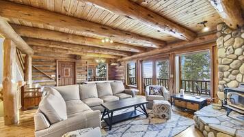 TV, lareira, videoteca, aparelho de som