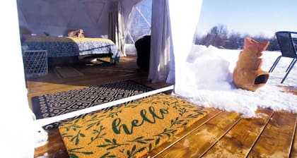 Limerick Forest Retreat | Luxury Camping Geodome