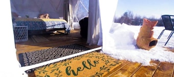 Limerick Forest Retreat | Luxury Camping Geodome