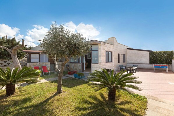 A modern house with a patio, a pool table, and a small garden with palm trees.