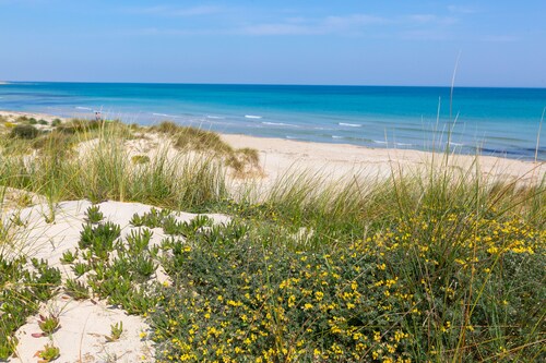 3269 Villetta Monica by Barbarhouse