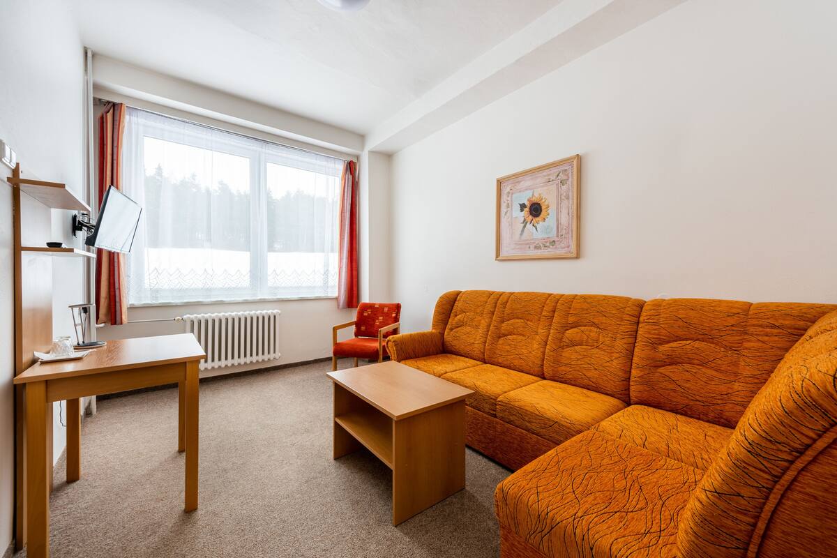 A room with a wooden table, a sofa, a chair, a radiator, and a window with curtains.