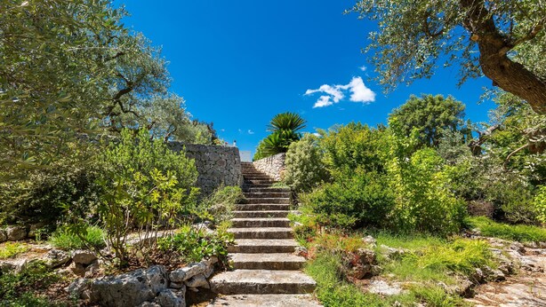 Un escalier en pierre, bordé de verdure, qui monte une colline.