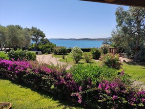 Immagine non classificata, 4 di 46, pulsante