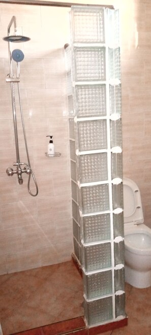 A shower enclosure with a glass partition, a handheld showerhead, and a wall-mounted faucet.