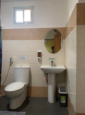 Regadera, bidet, toallas, papel de baño 