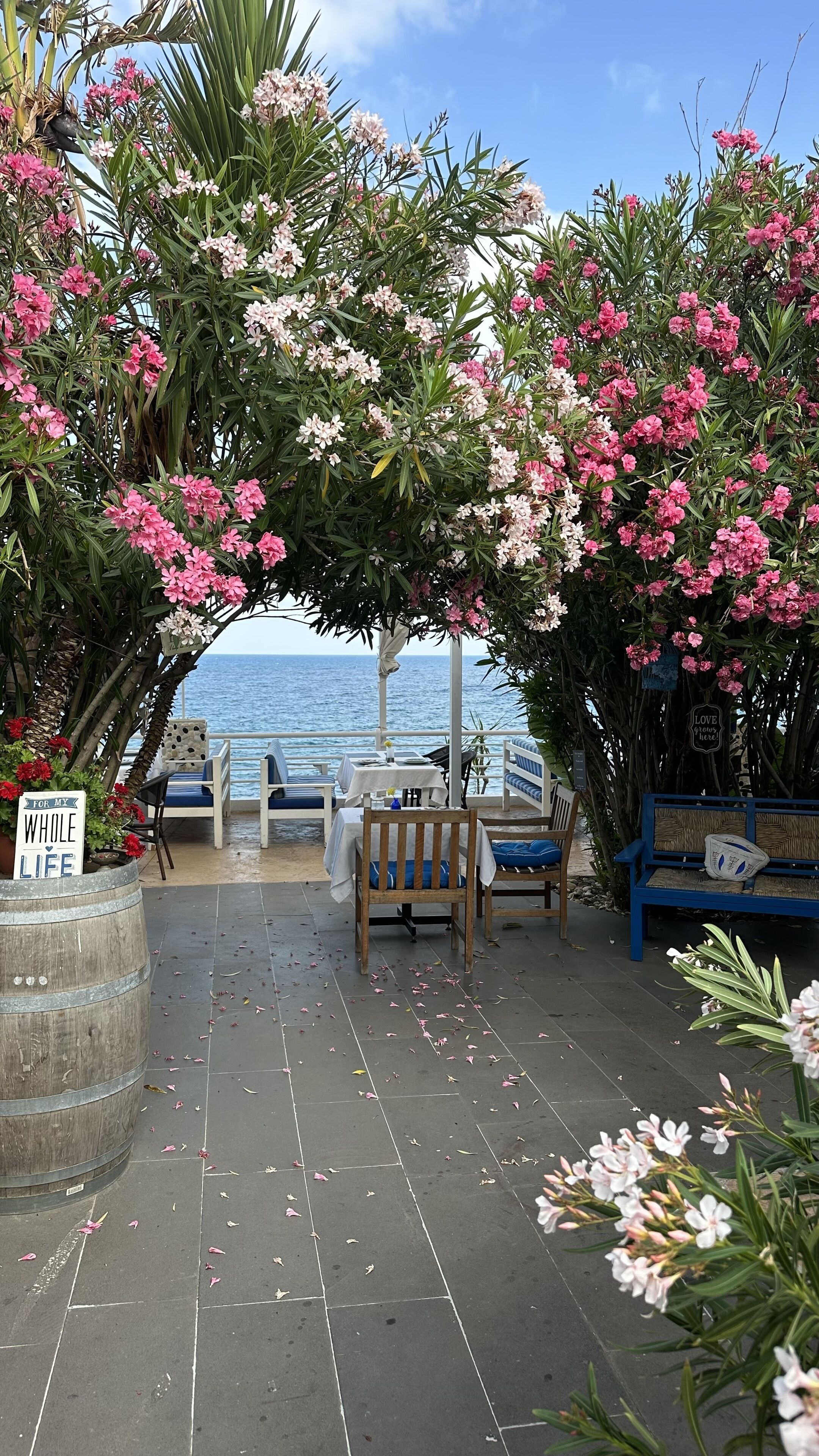 An outdoor seating area with tables and chairs, overlooking the sea.
