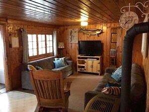 TV, fireplace - Wild Goose Resort - Canadian (Park Falls)