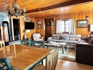 TV, fireplace - Wild Goose Resort - Drake (Park Falls)