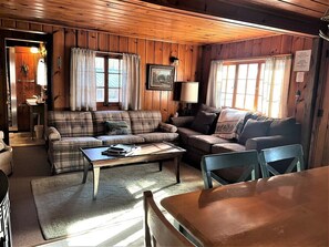 TV, fireplace - Wild Goose Resort - Drake (Park Falls)