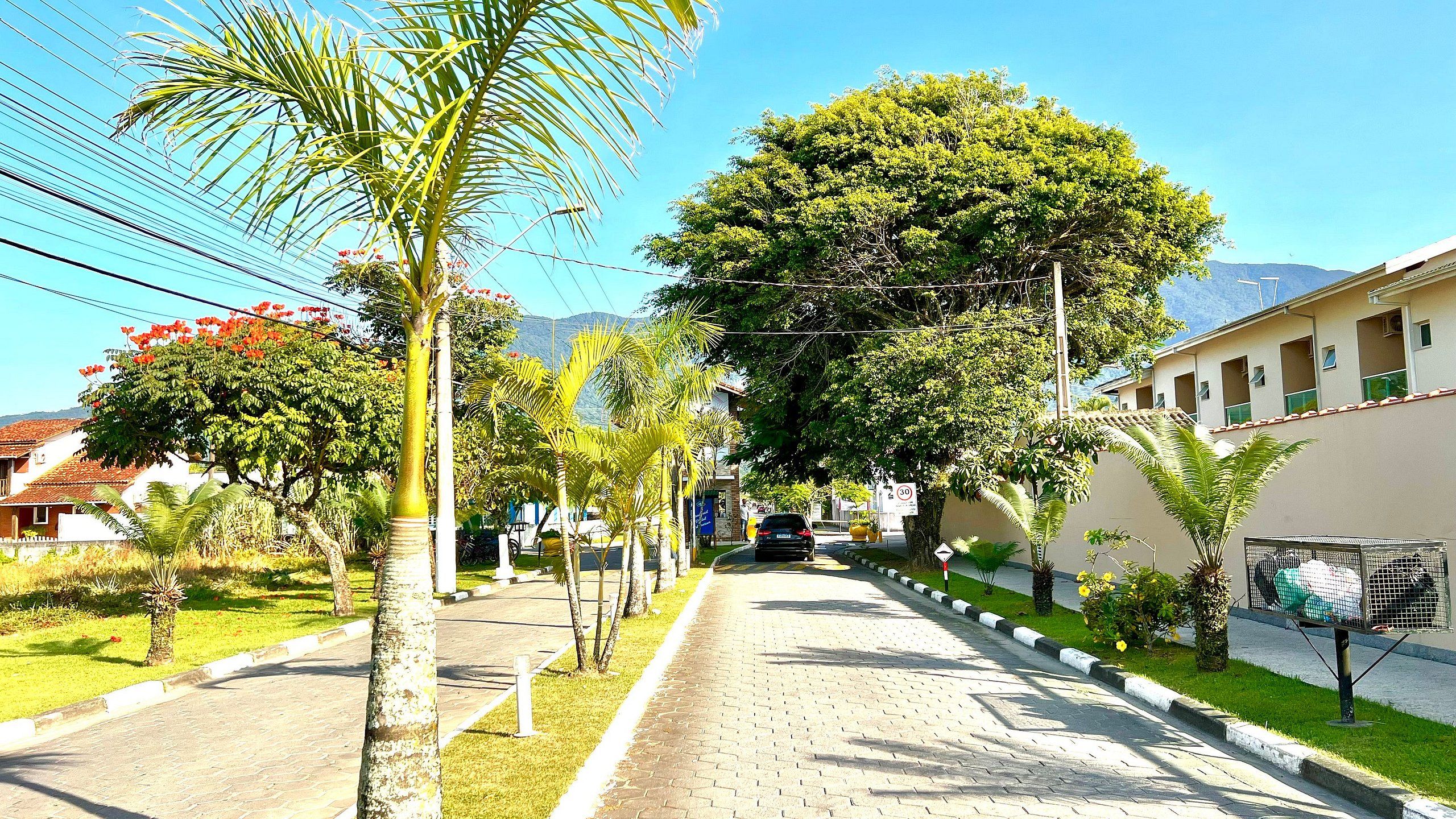 Uma estrada pavimentada com palmeiras e um edifício com telhado de azulejos.
