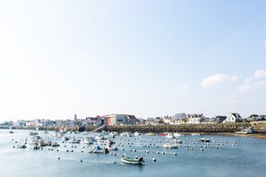 A harbor with numerous boats docked and a town in the background.