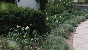 A garden with a pathway leading to a building with a sloped roof.