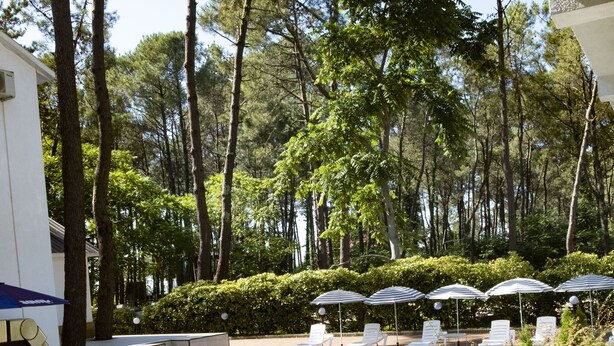 A swimming pool with lounge chairs and umbrellas, surrounded by trees and greenery.