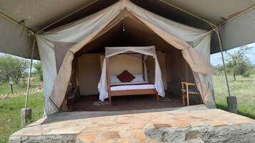Basic Double Room