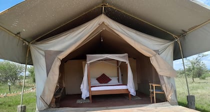 Mara Enkajiang Tented Camp