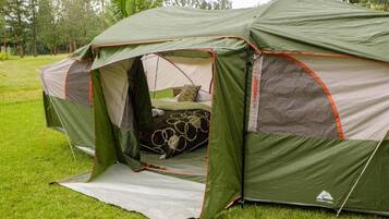 A green tent with a bed inside, set on a grassy field.
