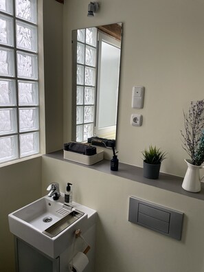Une salle de bain moderne équipée d’un lavabo, d’un miroir, d’un porte-serviettes, de plantes en pot et d’une fenêtre avec des panneaux de verre dépoli.