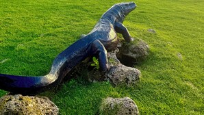 Une grande sculpture de lézard se trouve sur une pelouse, d’où l’on peut admirer une plage et des bâtiments en arrière-plan.