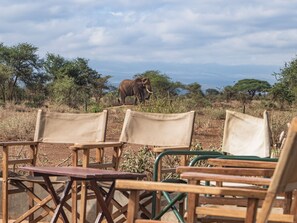 Front of property - Tulia Amboseli Safari Camp (Amboseli)