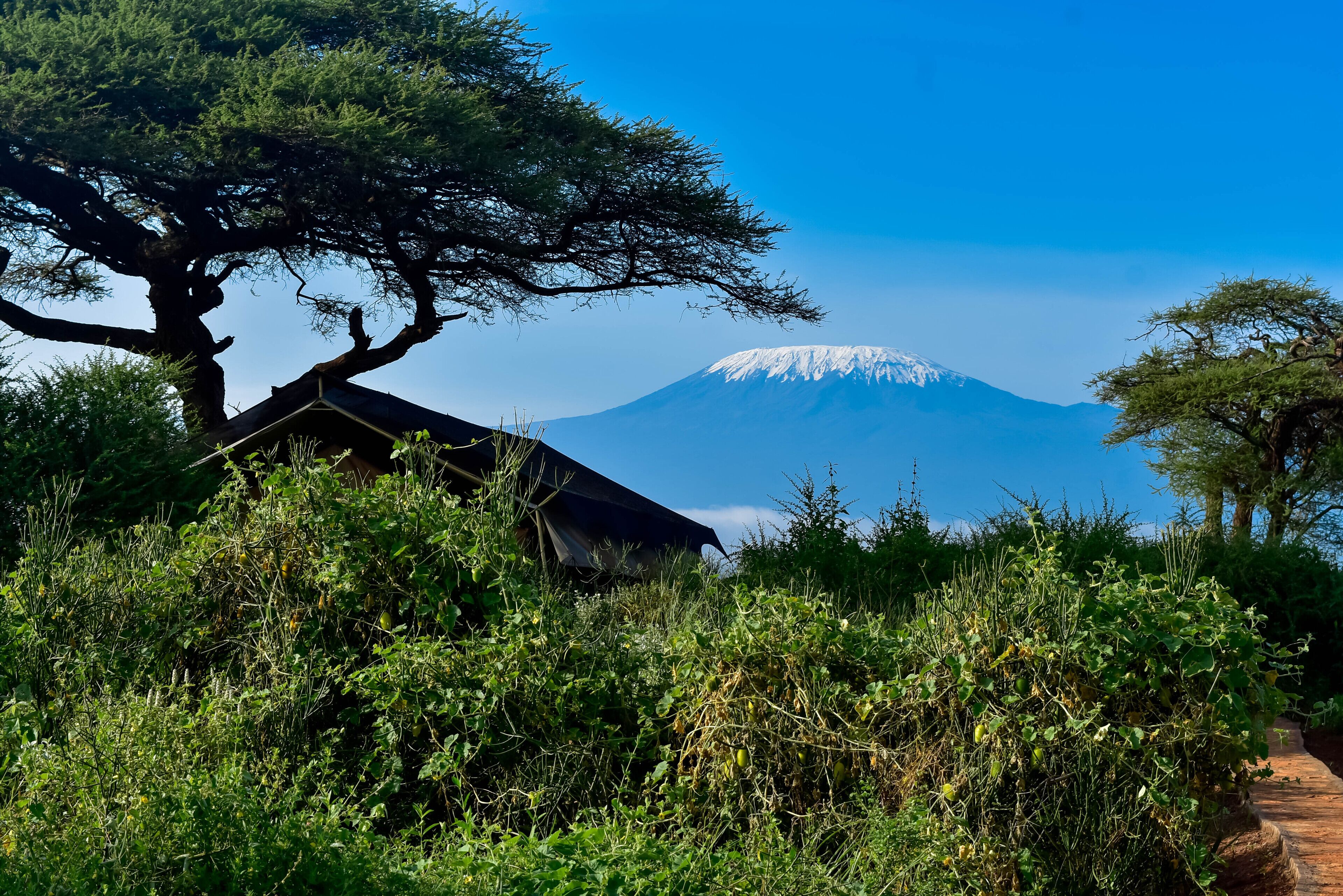 A rustic cabin with a view of a snow-capped mountain.