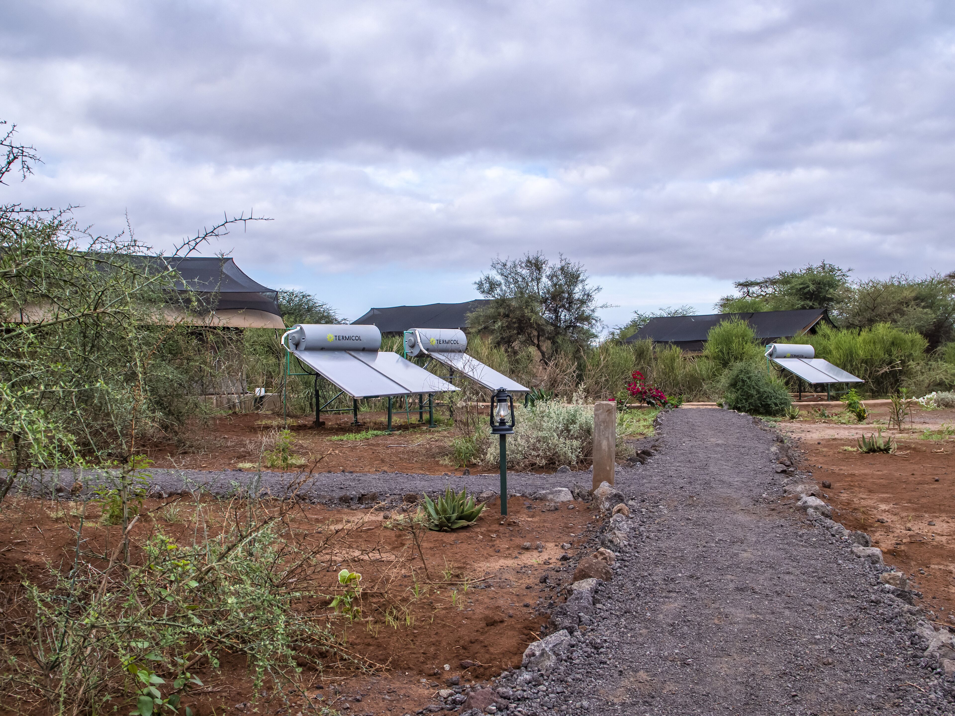 Camino que conduce a instalaciones de paneles solares en un entorno natural.