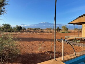 Deluxe Tent | View from room - Tulia Amboseli Safari Camp (Amboseli)