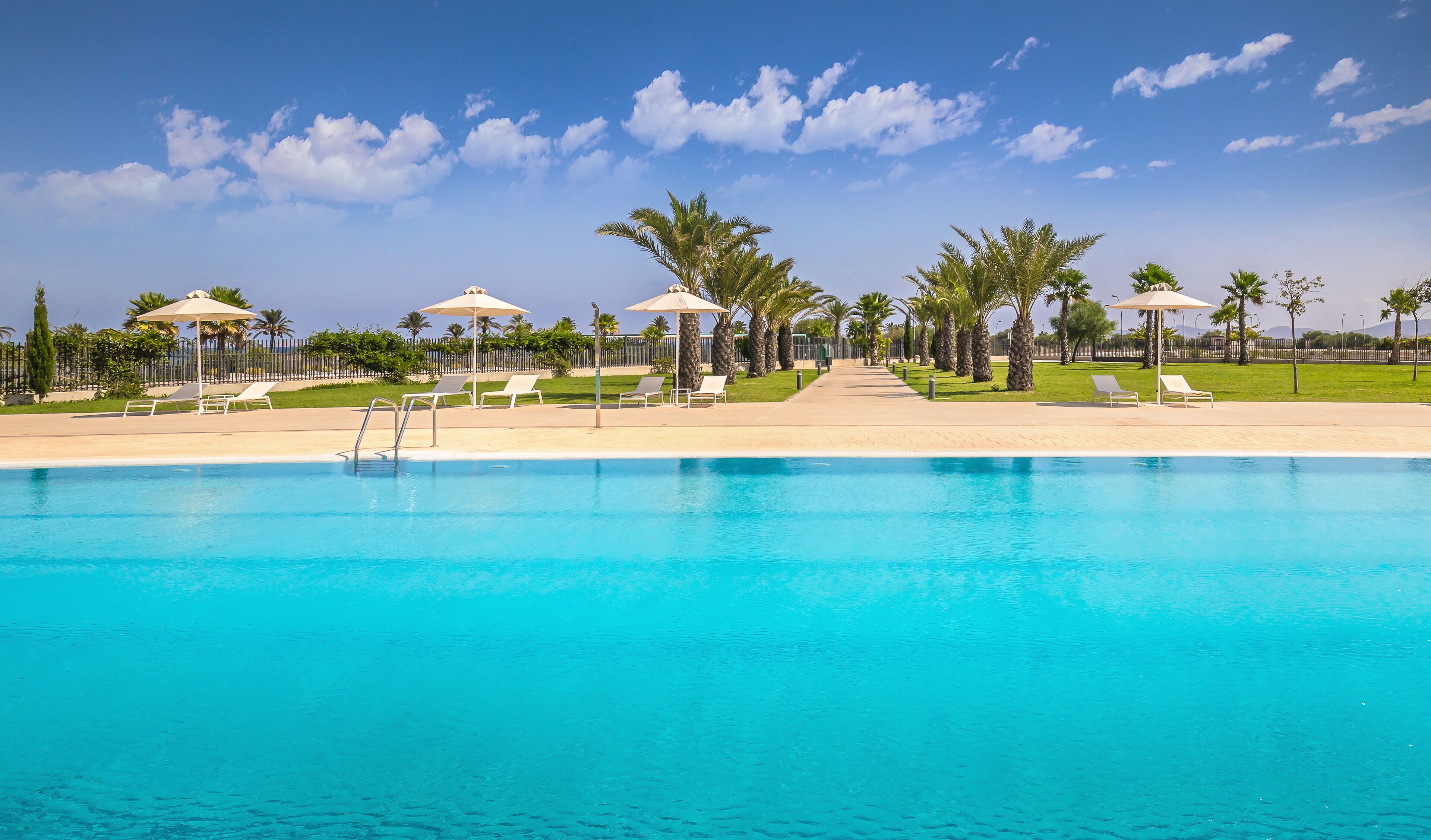Une piscine d’un bleu éclatant, bordée de chaises longues et d’ombrelles, entourée de palmiers et d’une clôture.