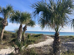 A sandy path leading to a beach with palm trees and a clear blue sky. - Directly across the street from the Beach!  (Panama City)