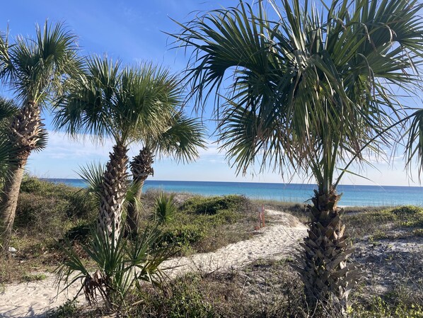 Sun-loungers - Directly across the street from the Beach! (Panama City)