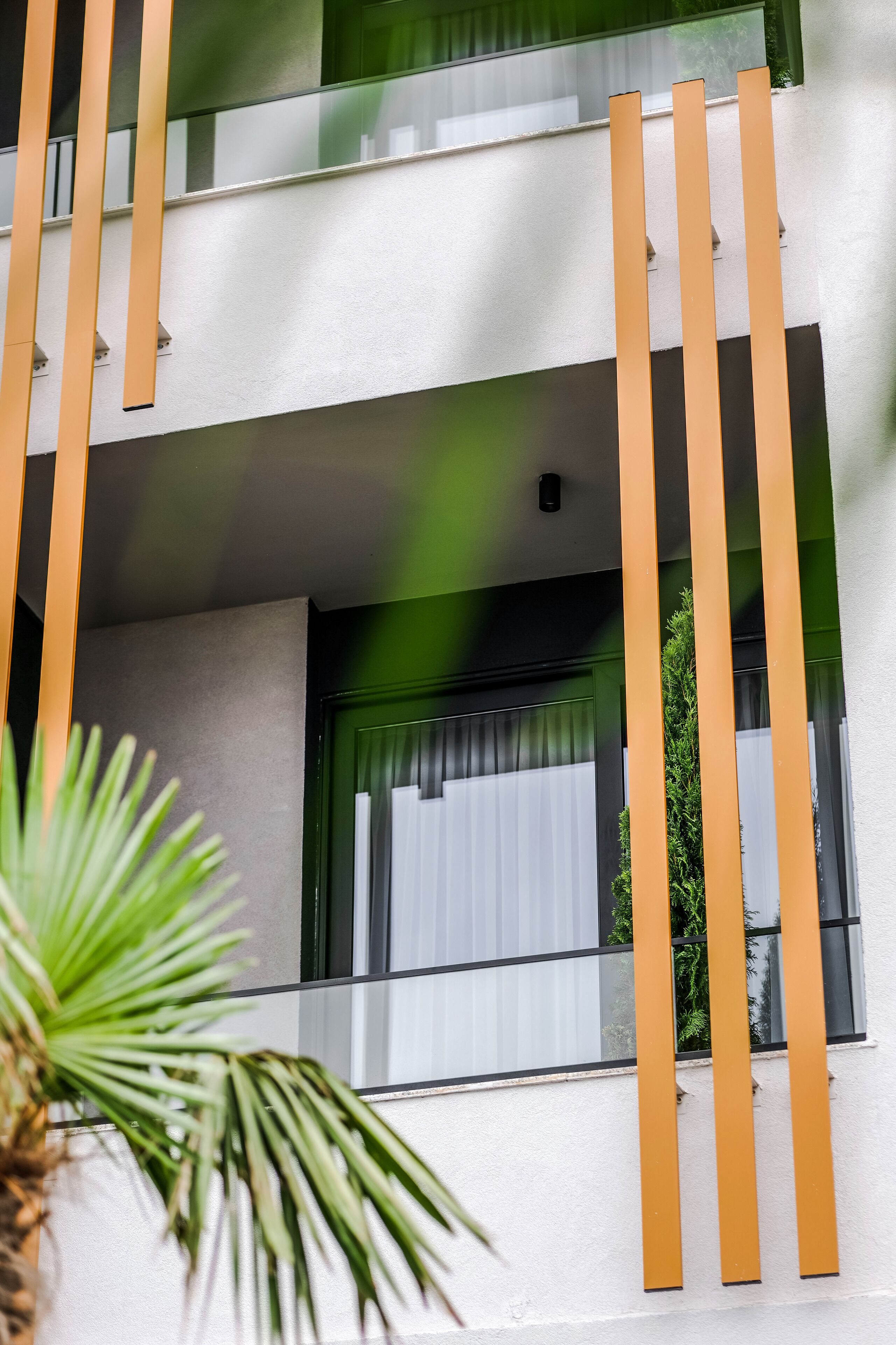 A modern building with a balcony, large windows, and a plant in the foreground.