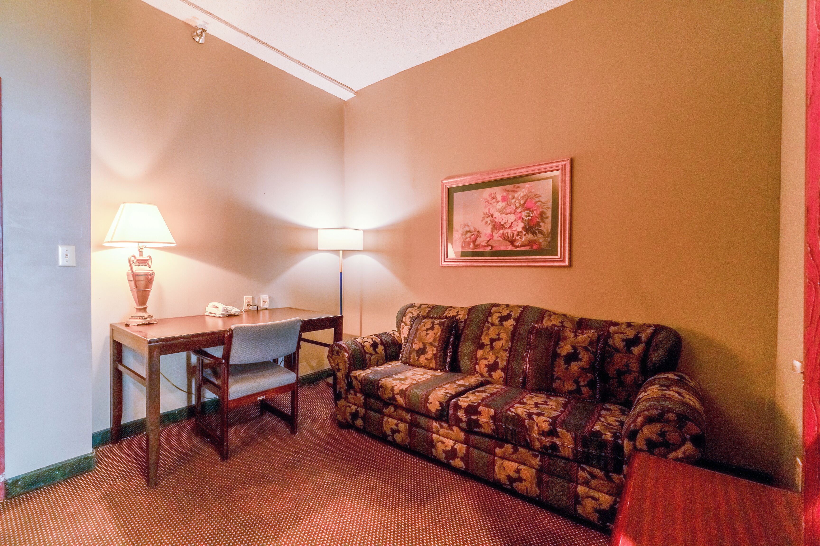 A room with a patterned sofa, a dining table with chairs, a lamp, and a framed picture on the wall.