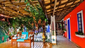 A wooden deck with a bench, a hanging plant, and a red building with blue doors. - La Gloria House (Ilhabela)