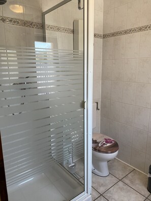 Regadera, secadora de cabello, toallas, papel de baño 