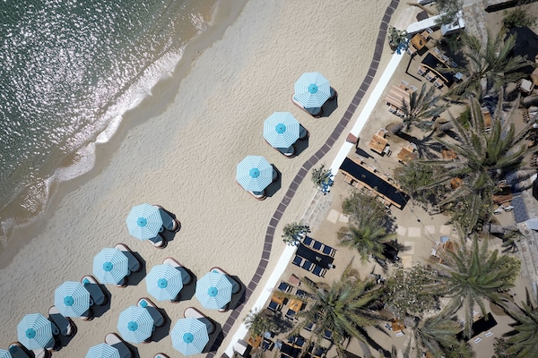 On the beach, sun loungers, beach umbrellas, beach bar