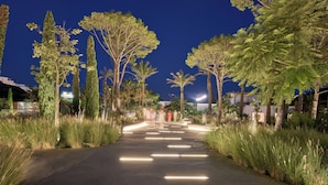A nighttime pathway flanked by tall trees and illuminated by linear lights. - Nammos Hotel Mykonos (Mykonos)