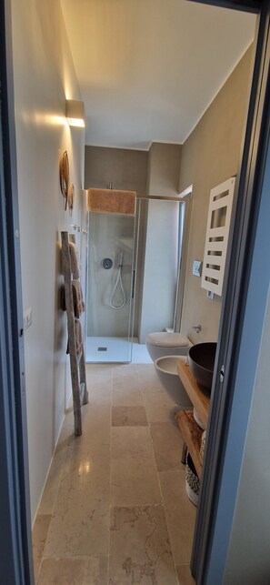 Shower, hair dryer, bidet, towels